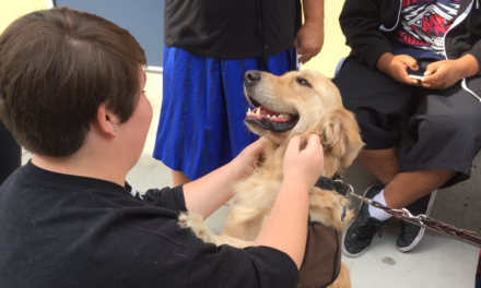PICTURES: Coast High hosts furry friends for stress relief