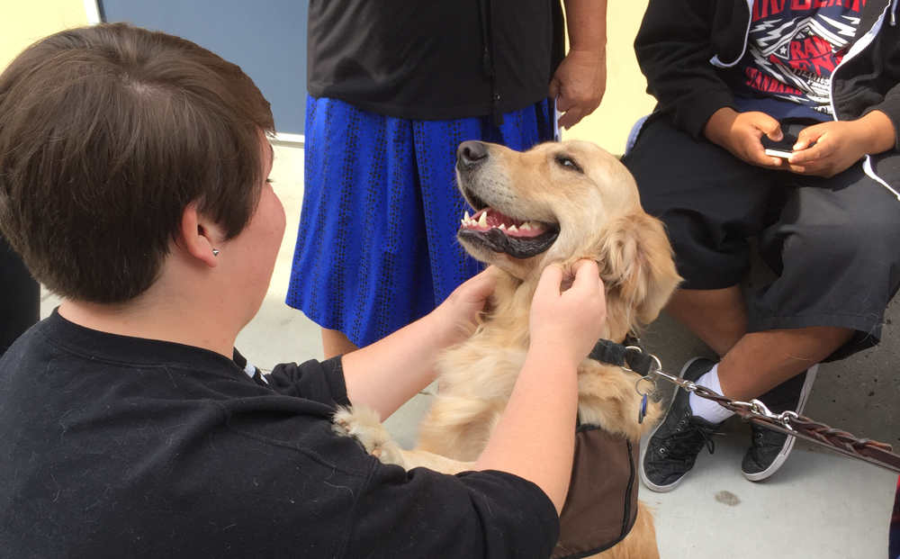 PICTURES: Coast High hosts furry friends for stress relief