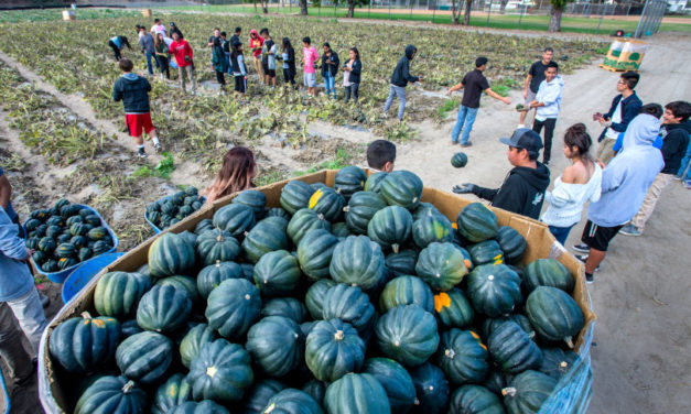 LINK (OC Register): The Giving Farm in Orange County sends food from farm to tables of the needy