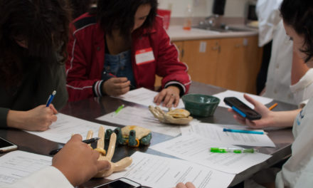 Students gain hands-on STEAM experience