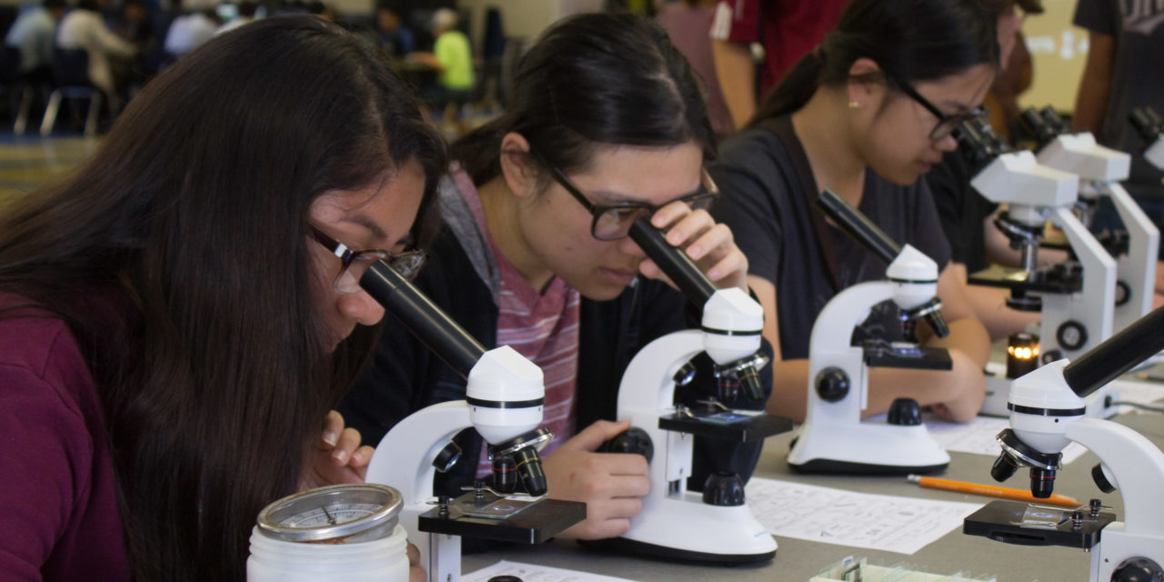 STEAM Fair brings innovative hands-on learning to students