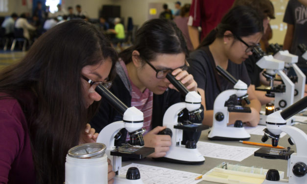 STEAM Fair brings innovative hands-on learning to students